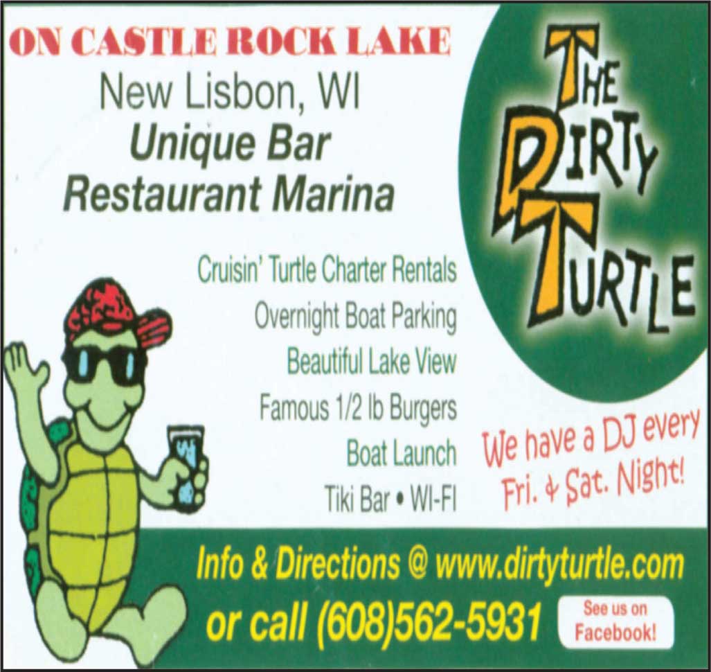 The Dirty Turtle
