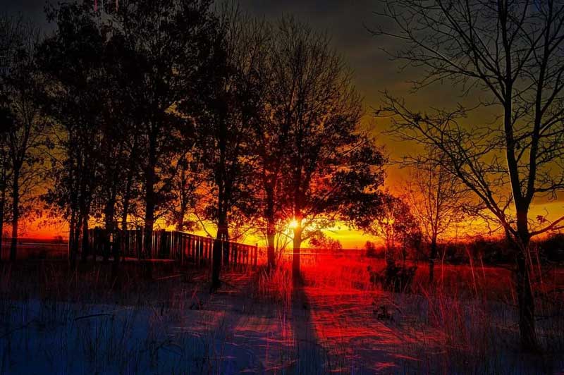 Sunrise Necedah National Wildlife Refuge