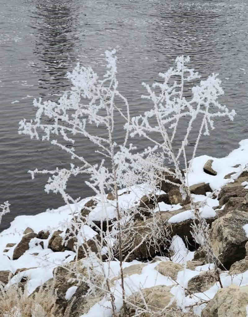 Castle Rock Petenwell Lakes Rime Frost Lemonweir River / Photo: Mike King