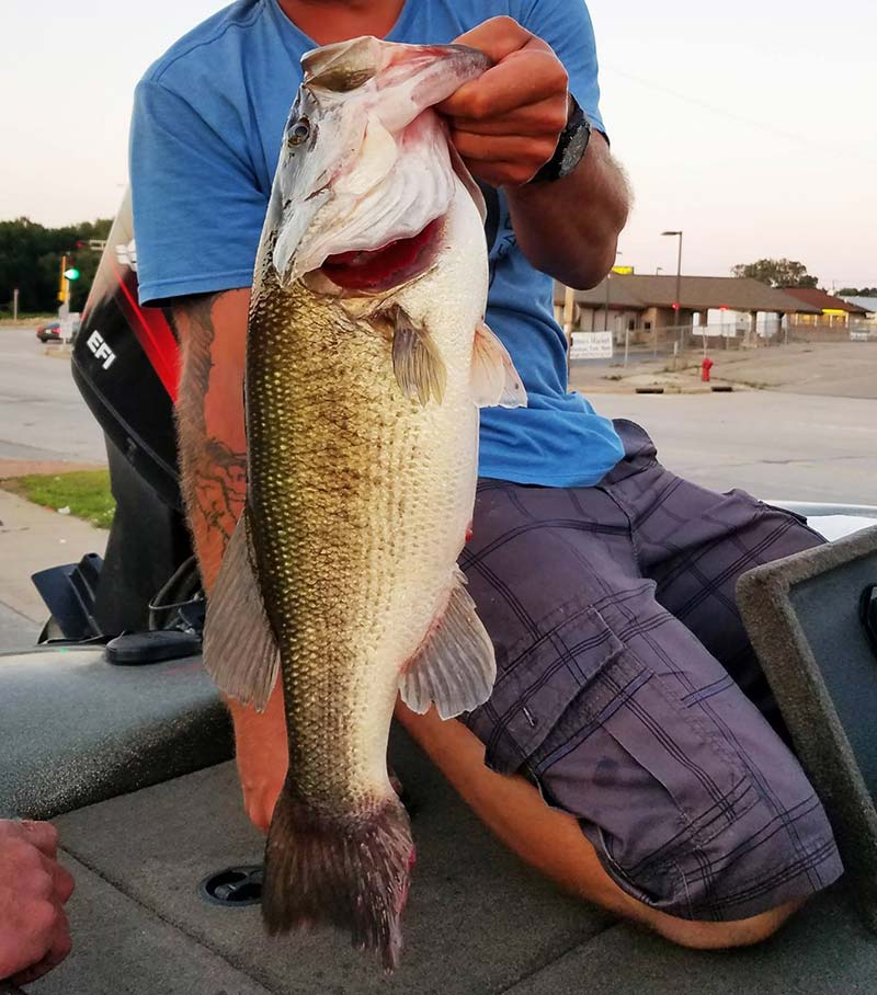 Castle Rock Petenwell Lakes Walleye